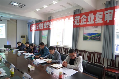 开云手机平台-开云（中国）安全文化示范企业复评验收 (5).JPG