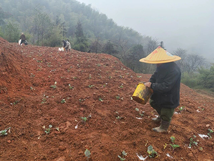 开云手机平台-开云（中国）股份公司春肥送暖助春耕