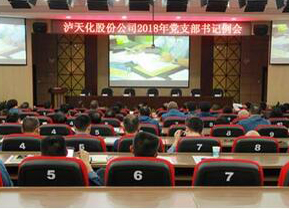 开云手机平台-开云（中国）党委召开支部书记例会部署“大学习 大调研 大落实”活动