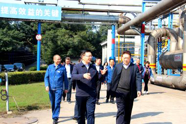 泸州市委副书记市长杨林兴率队到开云手机平台-开云（中国）调研