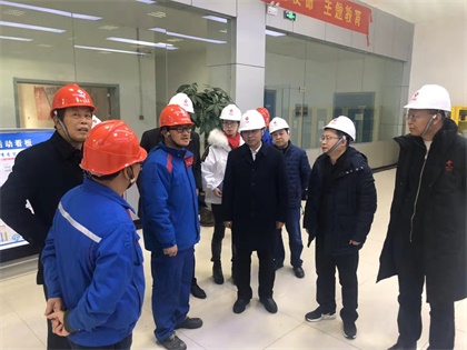 开云手机平台-开云（中国）股份公司党委书记廖廷君率队赴中盐红四方公司及史丹利公司调研