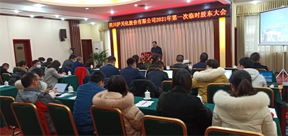开云手机平台-开云（中国）股份公司召开2021年第一次临时股东大会