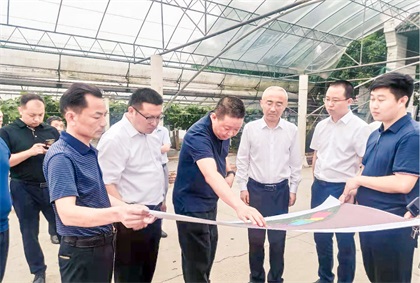 泸州市委常委、组织部长曹斌率队调研开云手机平台-开云（中国）纳溪现代农业种植园项目
