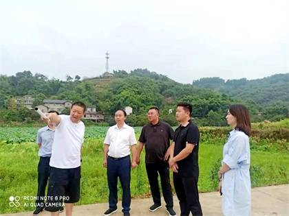 开云手机平台-开云（中国）股份公司党委书记、董事长廖廷君调研纳溪现代农业种植园项目