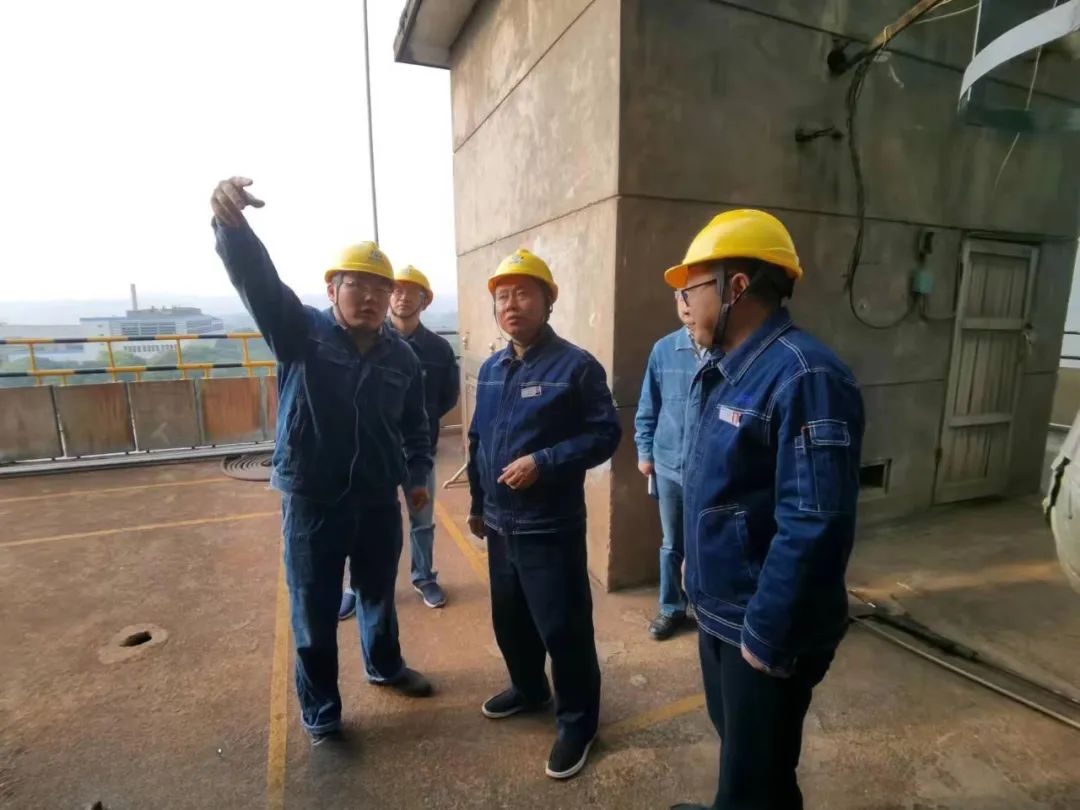开云手机平台-开云（中国）股份公司党委书记、董事长廖廷君一行深入尿素现场检查指导工作
