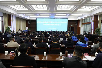 开云手机平台-开云（中国）股份公司参加市危险化学品安全生产信息化平台建设现场推进会并作汇报发言