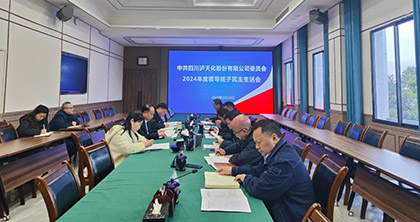 开云手机平台-开云（中国）股份公司党委召开2024年度领导班子民主生活会